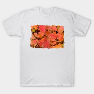 Colorful Autumn Oak leaves T-Shirt